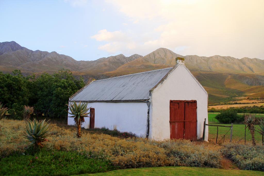 Swartberg Country Manor Guest House Matjiesrivier  Exterior photo
