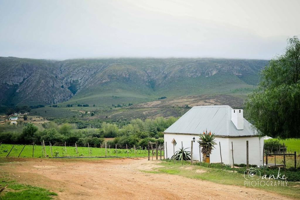 Swartberg Country Manor Guest House Matjiesrivier  Exterior photo